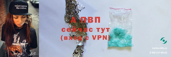 mdpv Богданович
