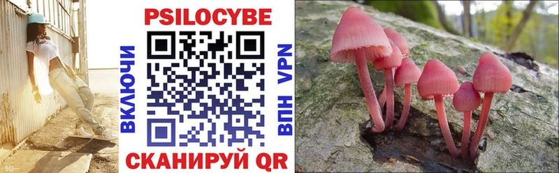 Псилоцибиновые грибы прущие грибы  Верещагино 