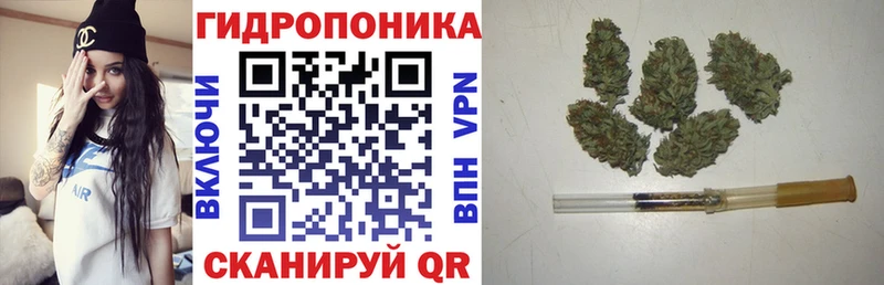 блэк спрут ТОР Верещагино Каннабис ГИДРОПОН